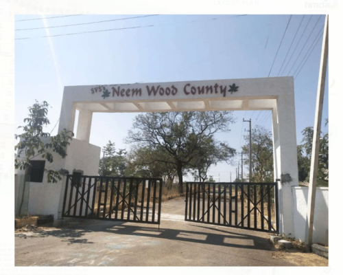 SVS Neem Wood County