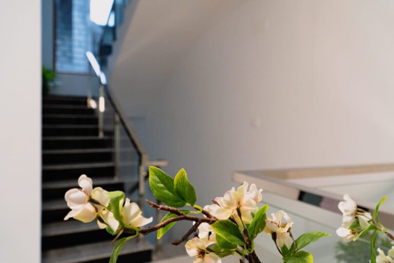 WhatsApp Image 2024-08-25 at 22.06.32