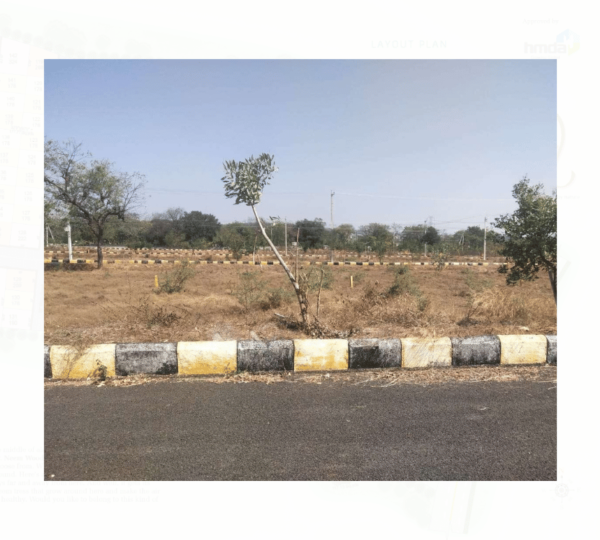 SVS Neem Wood County